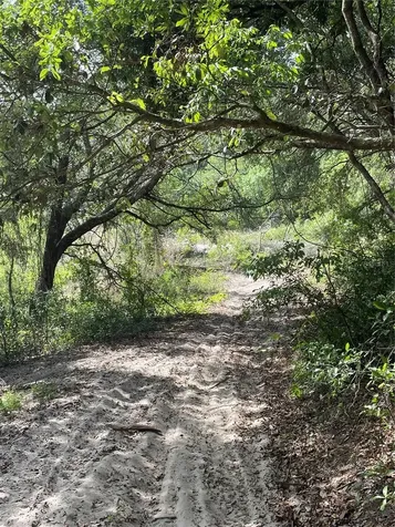Redbud Road Lady Lake FL 32159