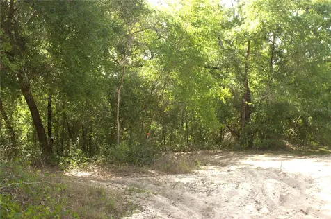 Redbud Road Lady Lake FL 32159