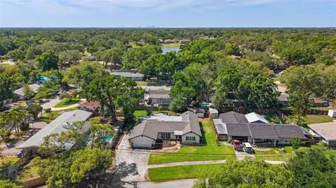 1502 Haven Bend Tampa FL 33613