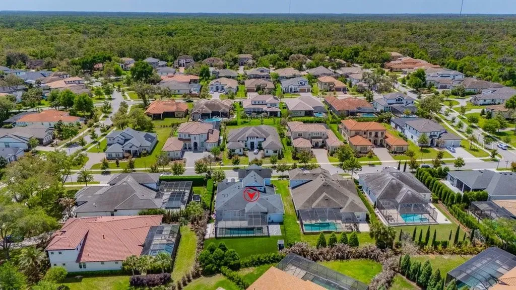 14908 Bassinger Lane Lithia FL 33547