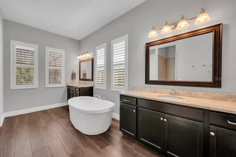 14908 Bassinger Lane Lithia FL 33547