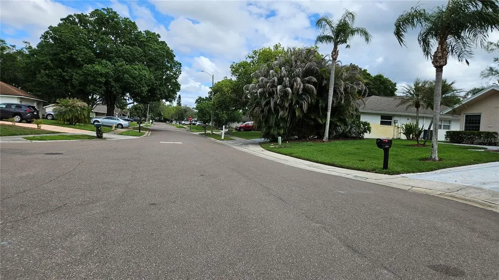 2626 Wendover Terrace Palm Harbor FL 34685