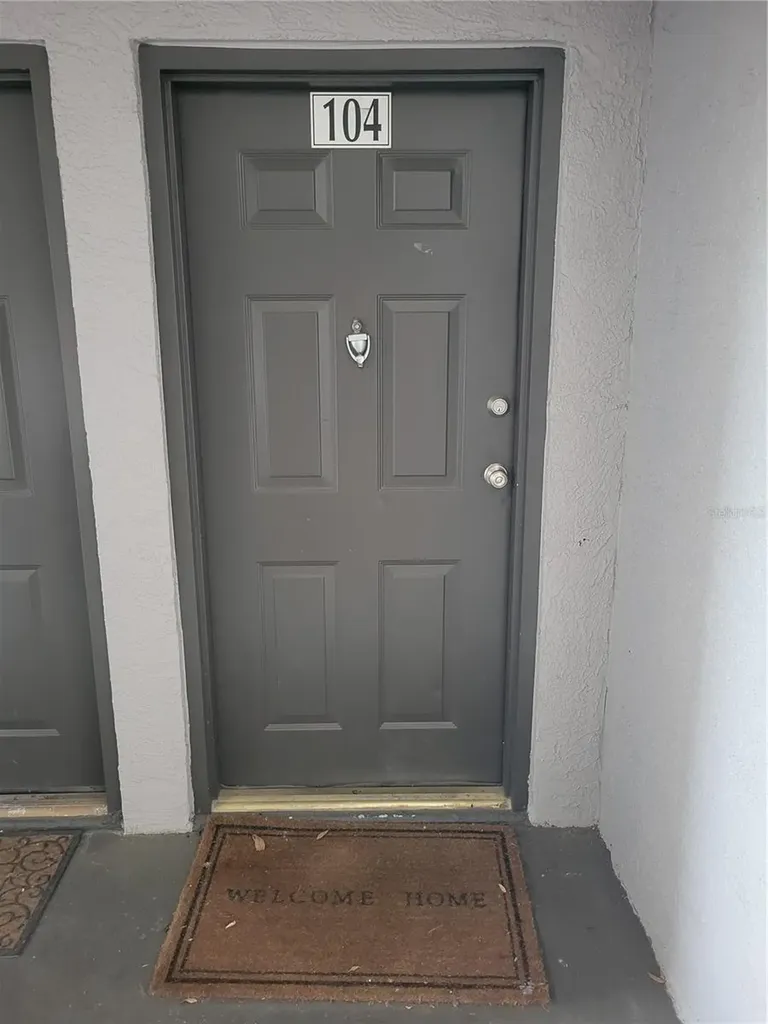 5052 Sunridge Palms Drive Tampa FL 33617