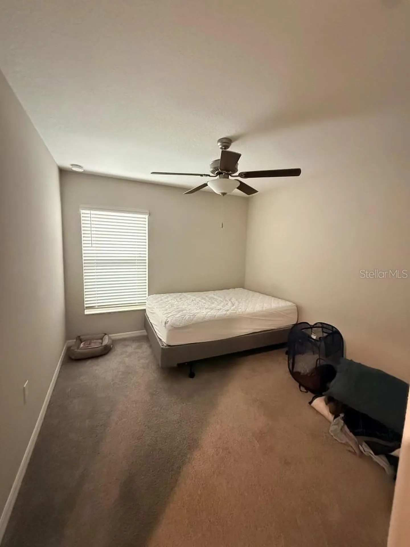 11424 Sage Canyon Drive Riverview FL 33578