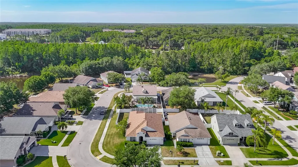 17354 Lawn Orchid Loop Land O Lakes FL 34638