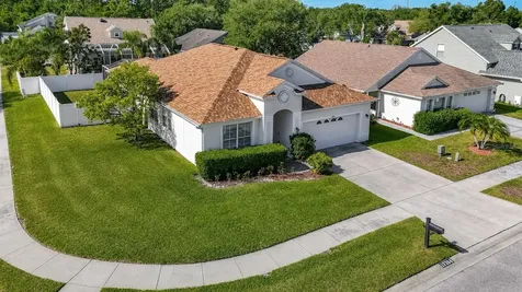17354 Lawn Orchid Loop Land O Lakes FL 34638