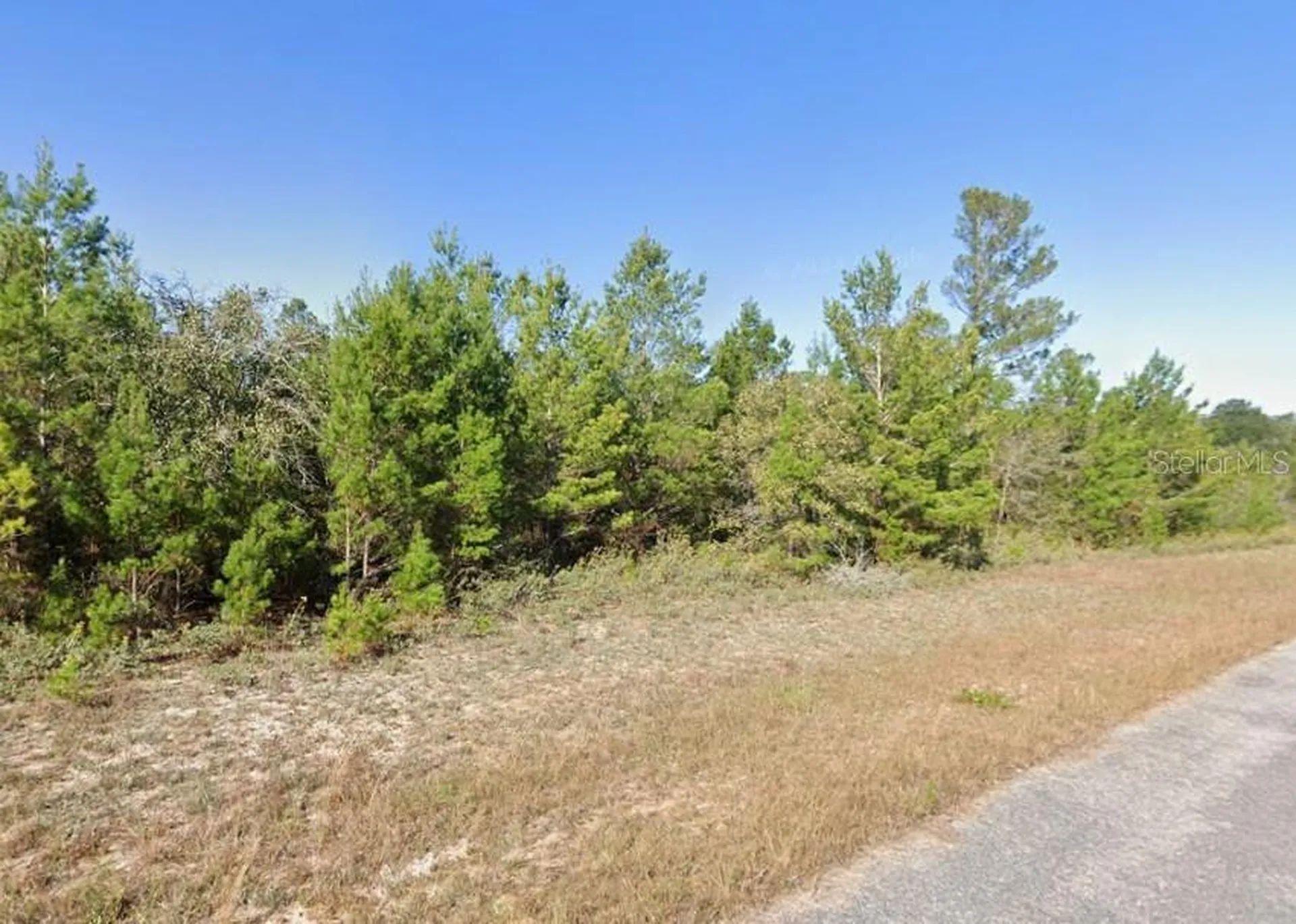 Zamora Avenue Chipley FL 32428