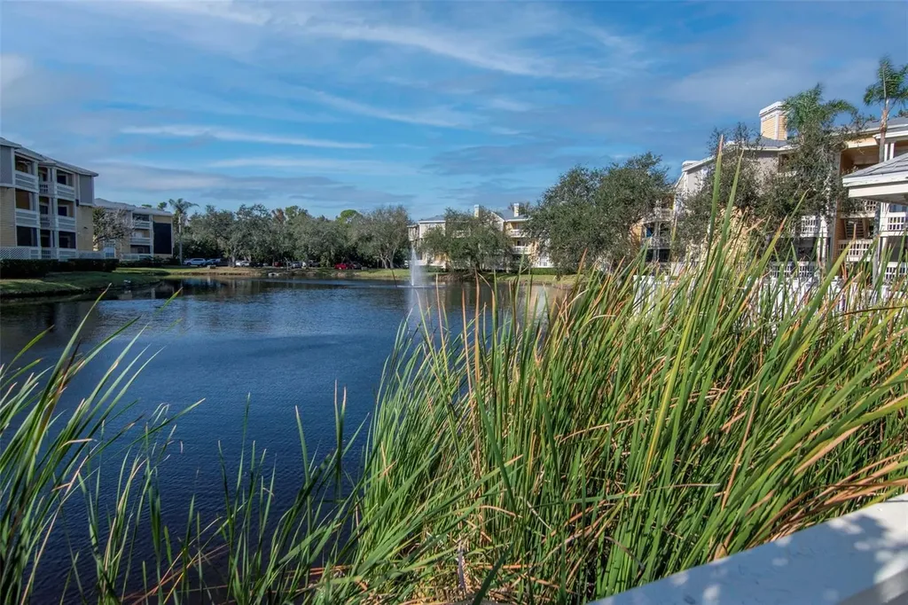 115 112th Avenue NE St Petersburg FL 33716
