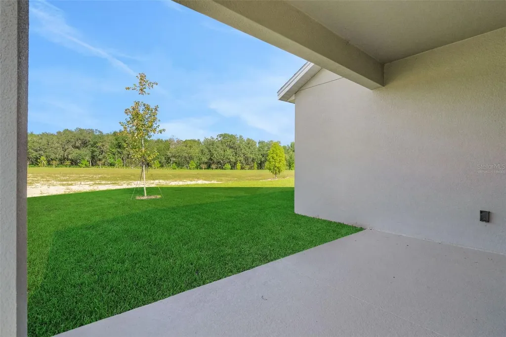 736 Sunshower Drive Lady Lake FL 32159