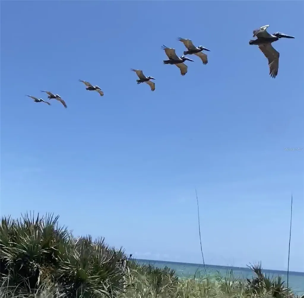 3000 Ocean Shore Boulevard Ormond Beach FL 32176