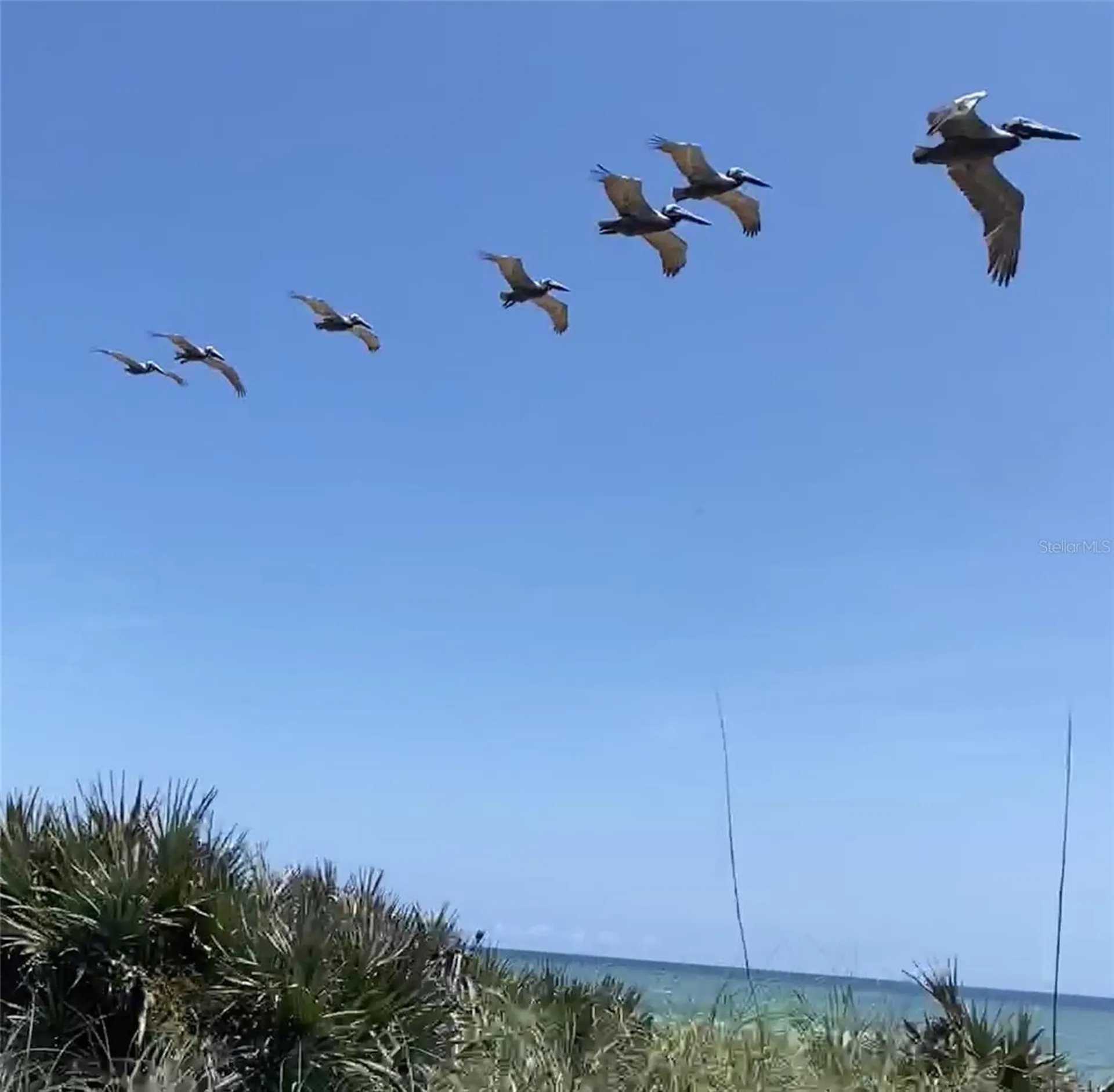 3000 Ocean Shore Boulevard Ormond Beach FL 32176