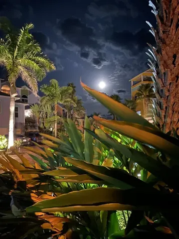 3000 Ocean Shore Boulevard Ormond Beach FL 32176