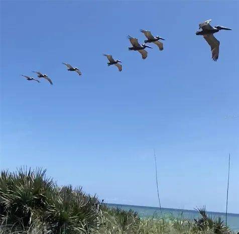 3000 Ocean Shore Boulevard Ormond Beach FL 32176
