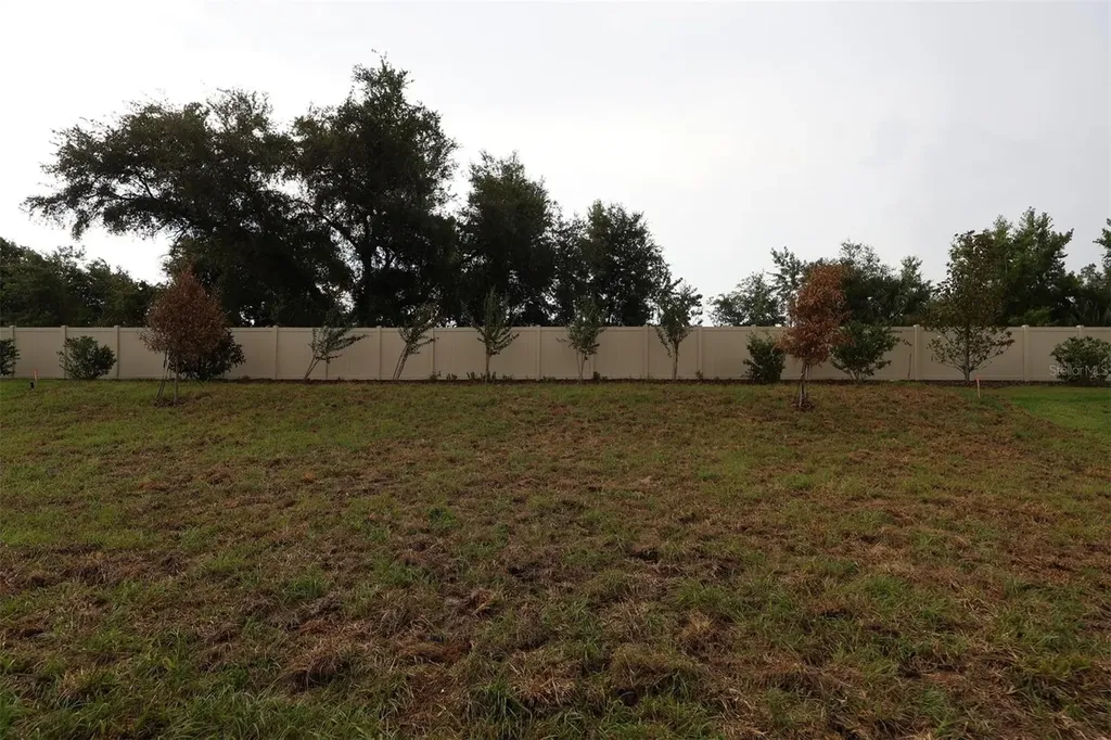 3254 Wolf Lake Avenue Apopka FL 32712