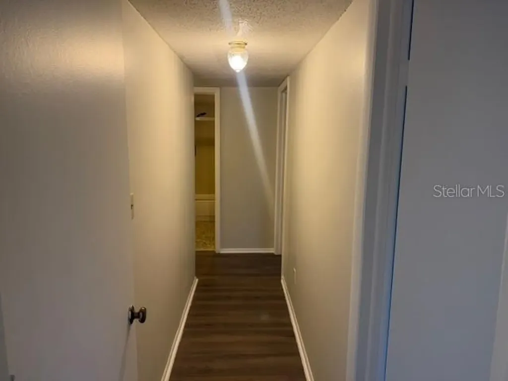 7309 Abonado Road Tampa FL 33615