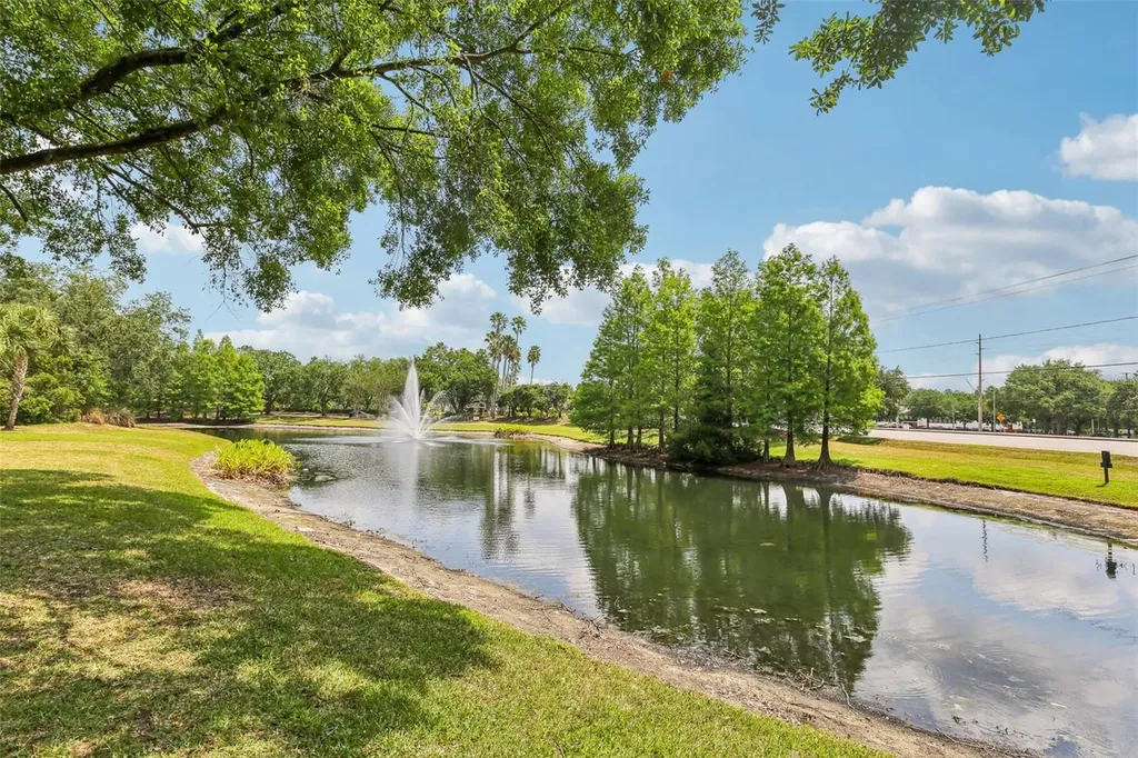 17104 Carrington Park Drive Tampa FL 33647