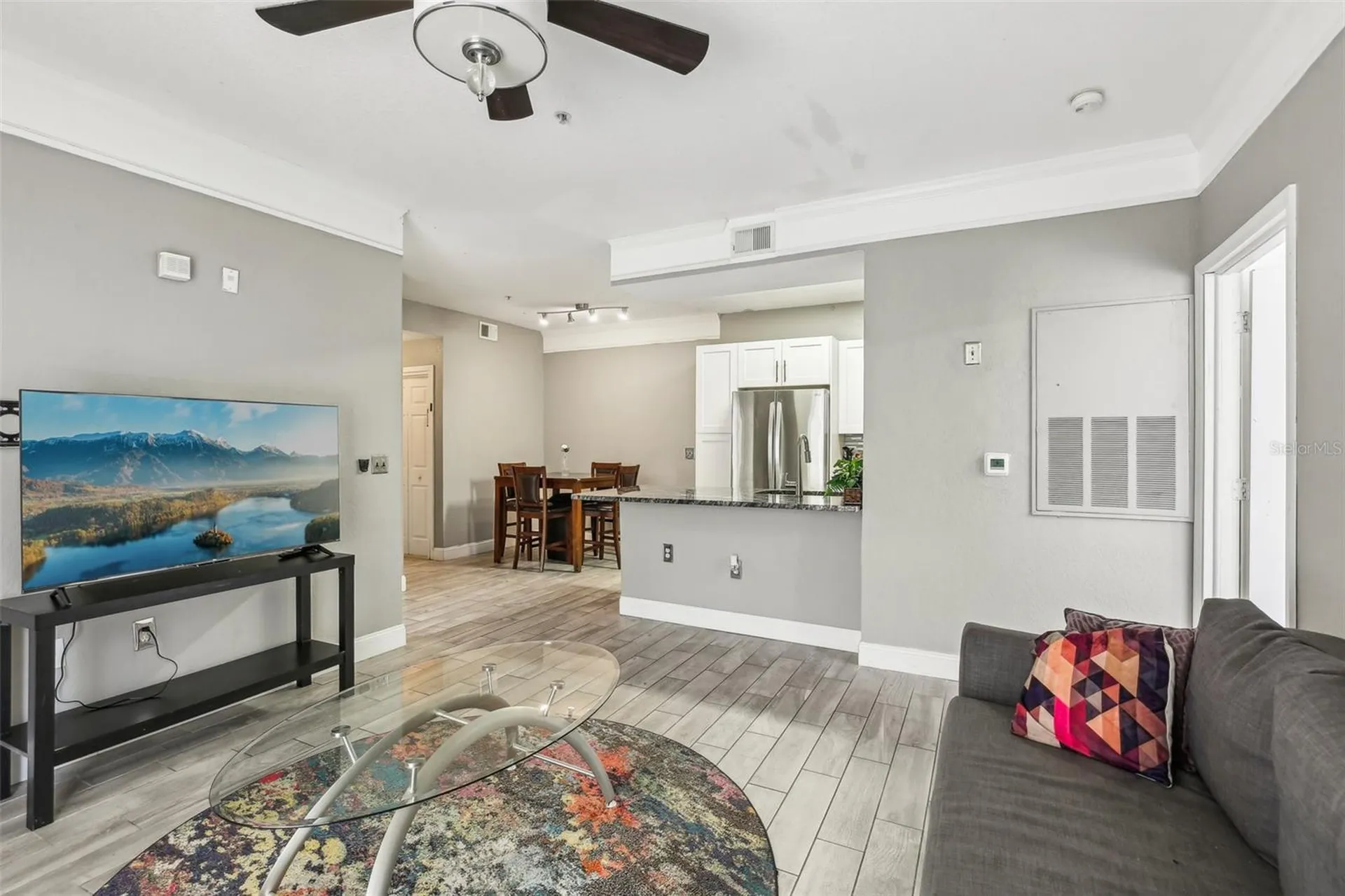 17104 Carrington Park Drive Tampa FL 33647