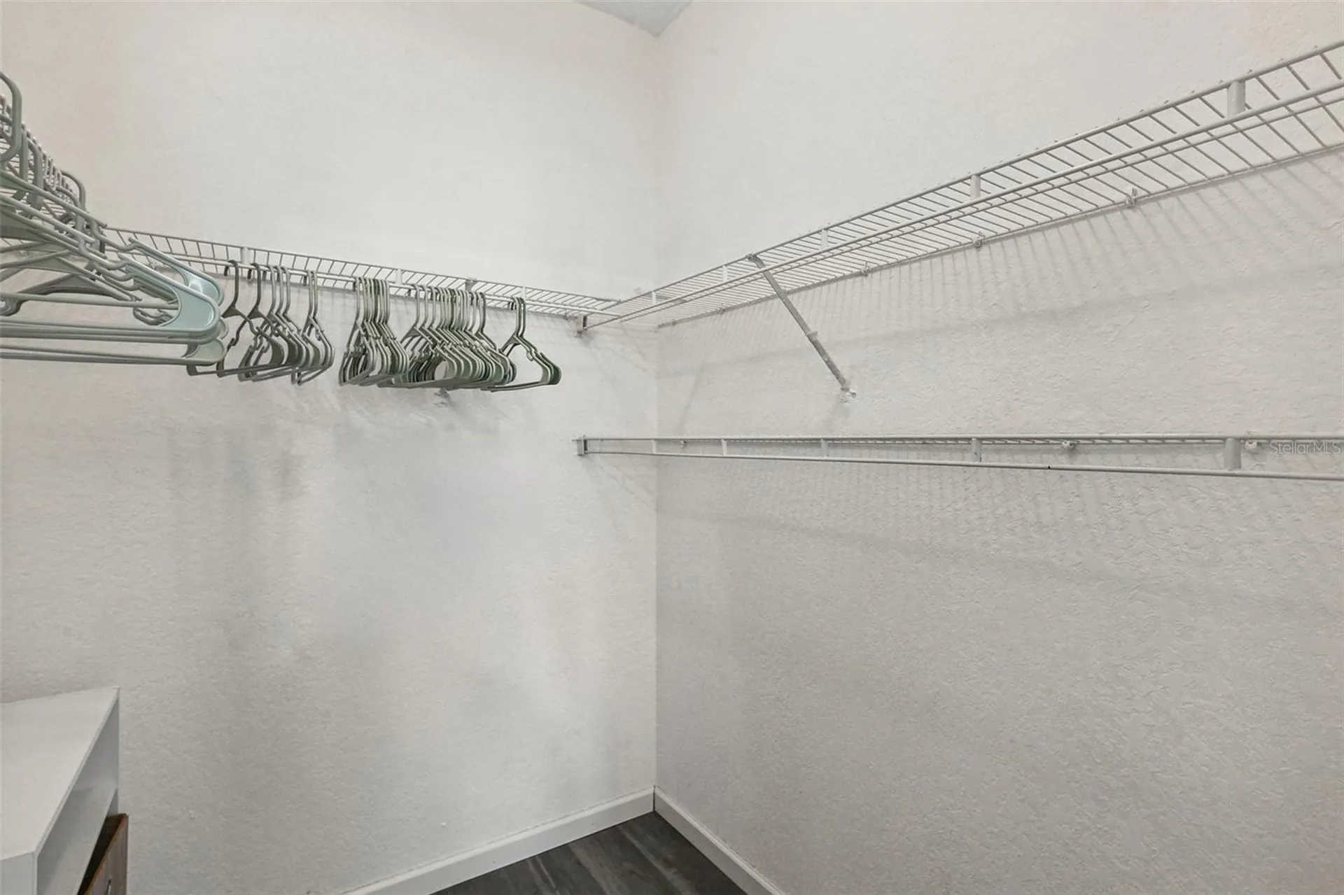 17104 Carrington Park Drive Tampa FL 33647