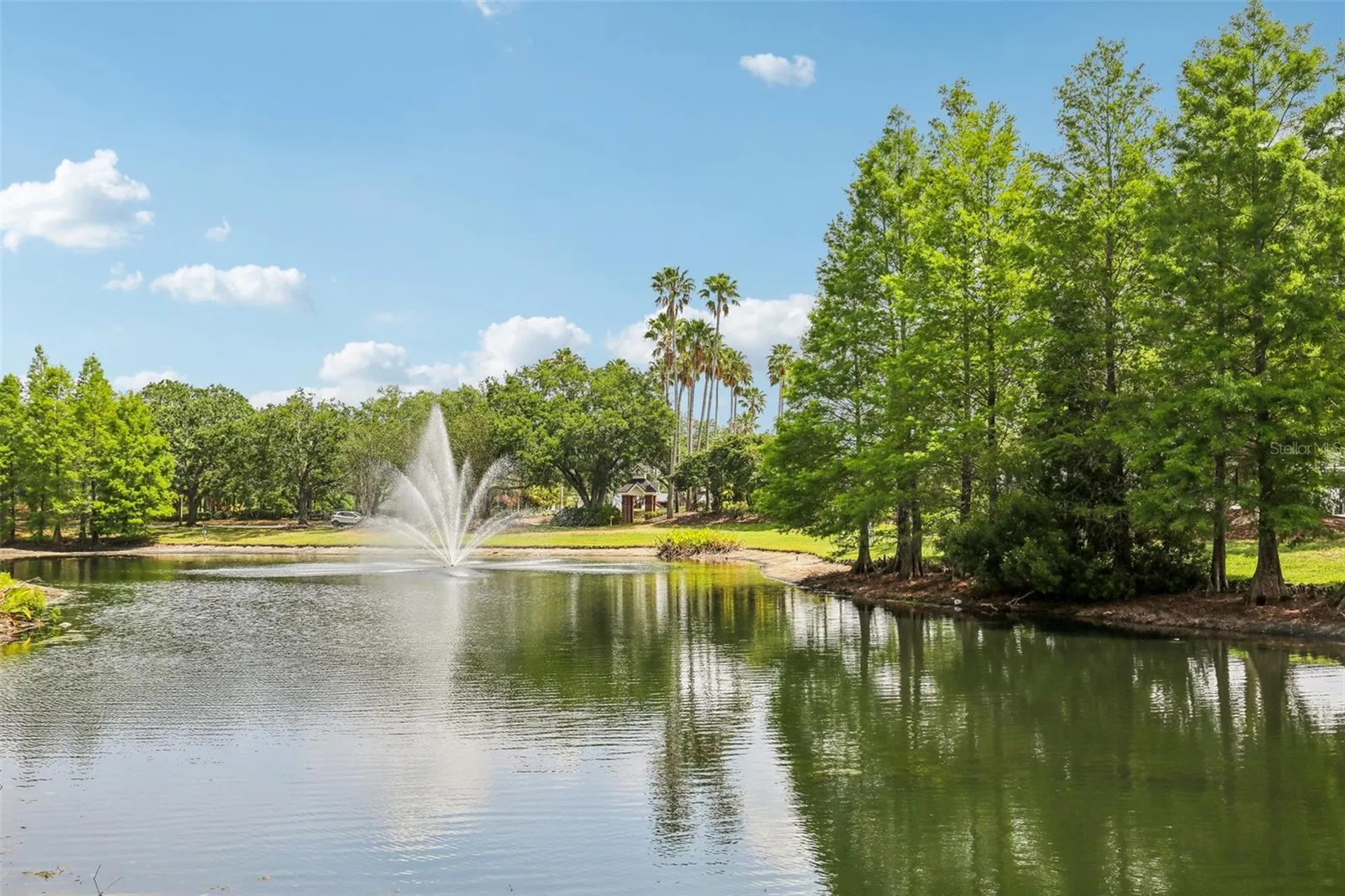 17104 Carrington Park Drive Tampa FL 33647