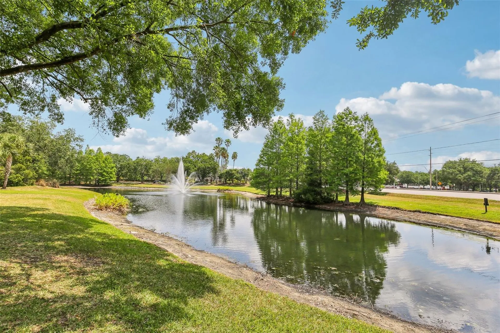 17104 Carrington Park Drive Tampa FL 33647