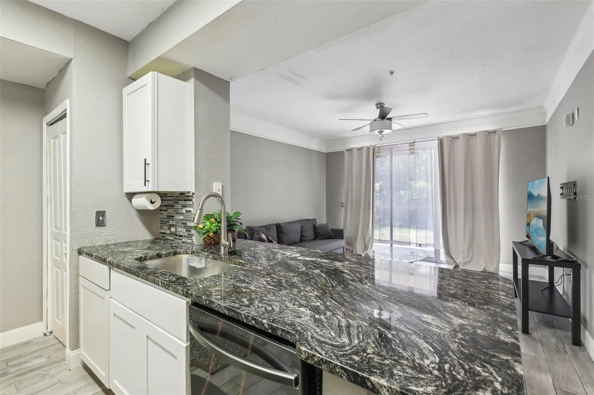 17104 Carrington Park Drive Tampa FL 33647