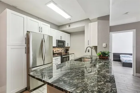 17104 Carrington Park Drive Tampa FL 33647