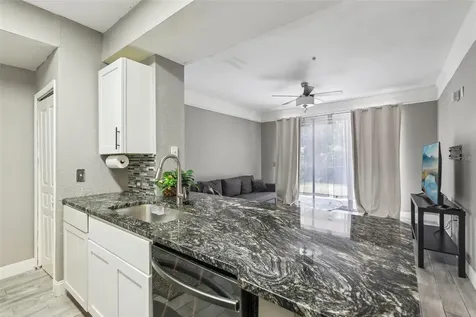 17104 Carrington Park Drive Tampa FL 33647