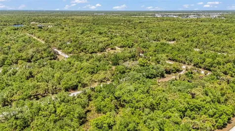 17045 Alvin Avenue Port Charlotte FL 33948
