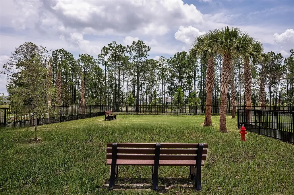 14788 Field Daisy Drive Winter Garden FL 34787