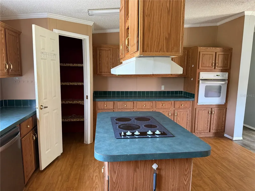 11090 SE 165th Terrace Road Ocklawaha FL 32179