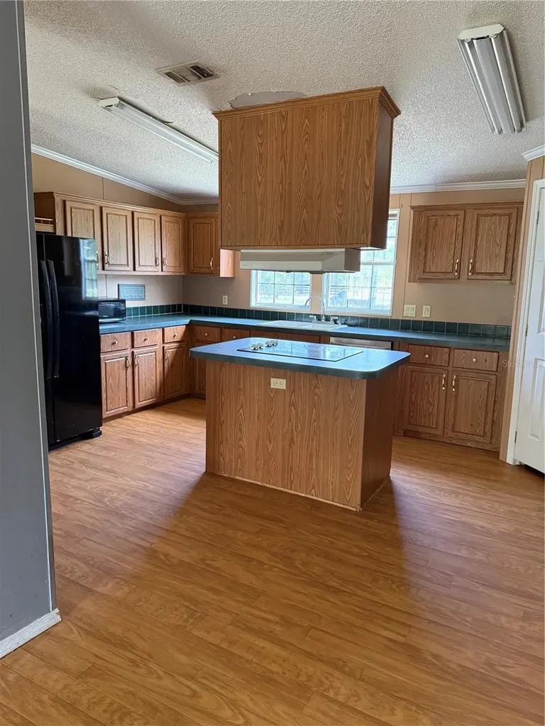 11090 SE 165th Terrace Road Ocklawaha FL 32179