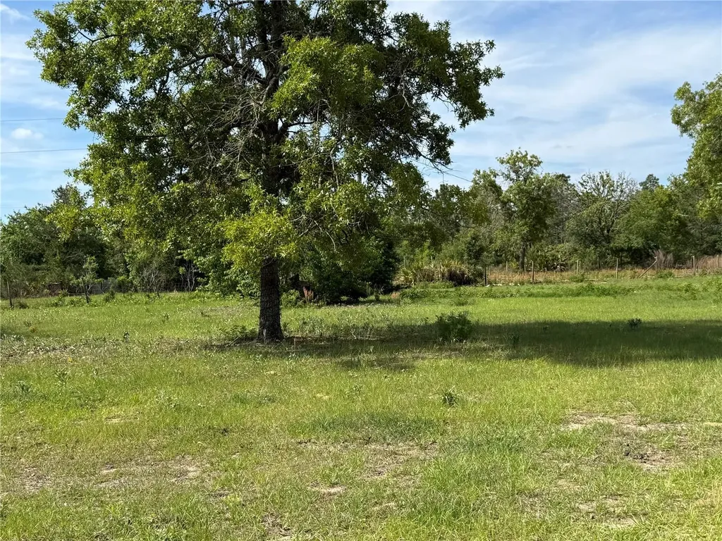 11090 SE 165th Terrace Road Ocklawaha FL 32179