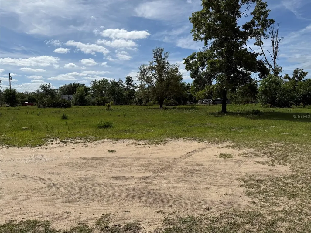 11090 SE 165th Terrace Road Ocklawaha FL 32179