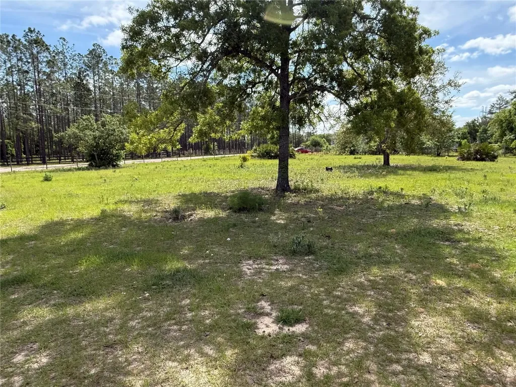 11090 SE 165th Terrace Road Ocklawaha FL 32179
