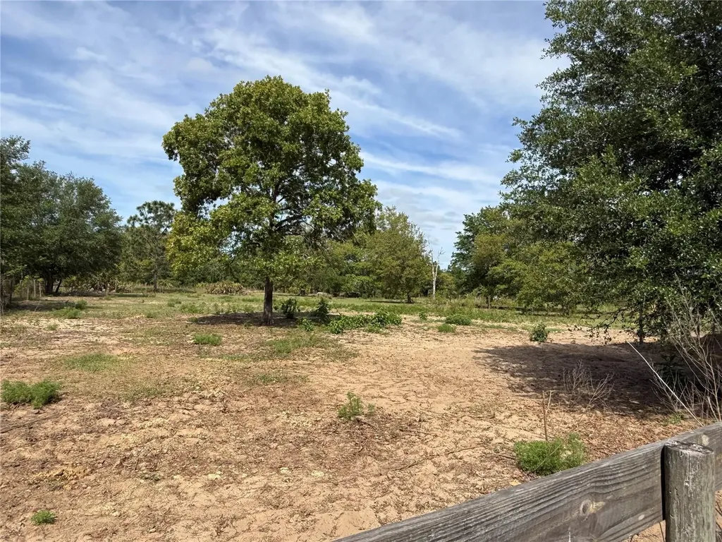 11090 SE 165th Terrace Road Ocklawaha FL 32179