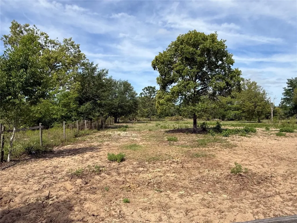 11090 SE 165th Terrace Road Ocklawaha FL 32179