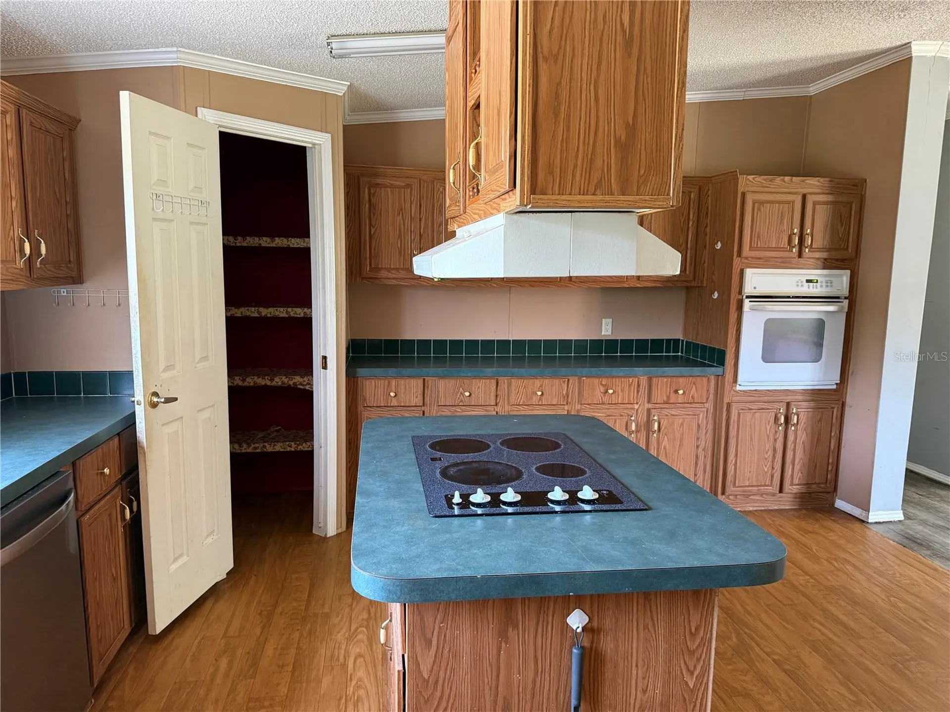 11090 SE 165th Terrace Road Ocklawaha FL 32179