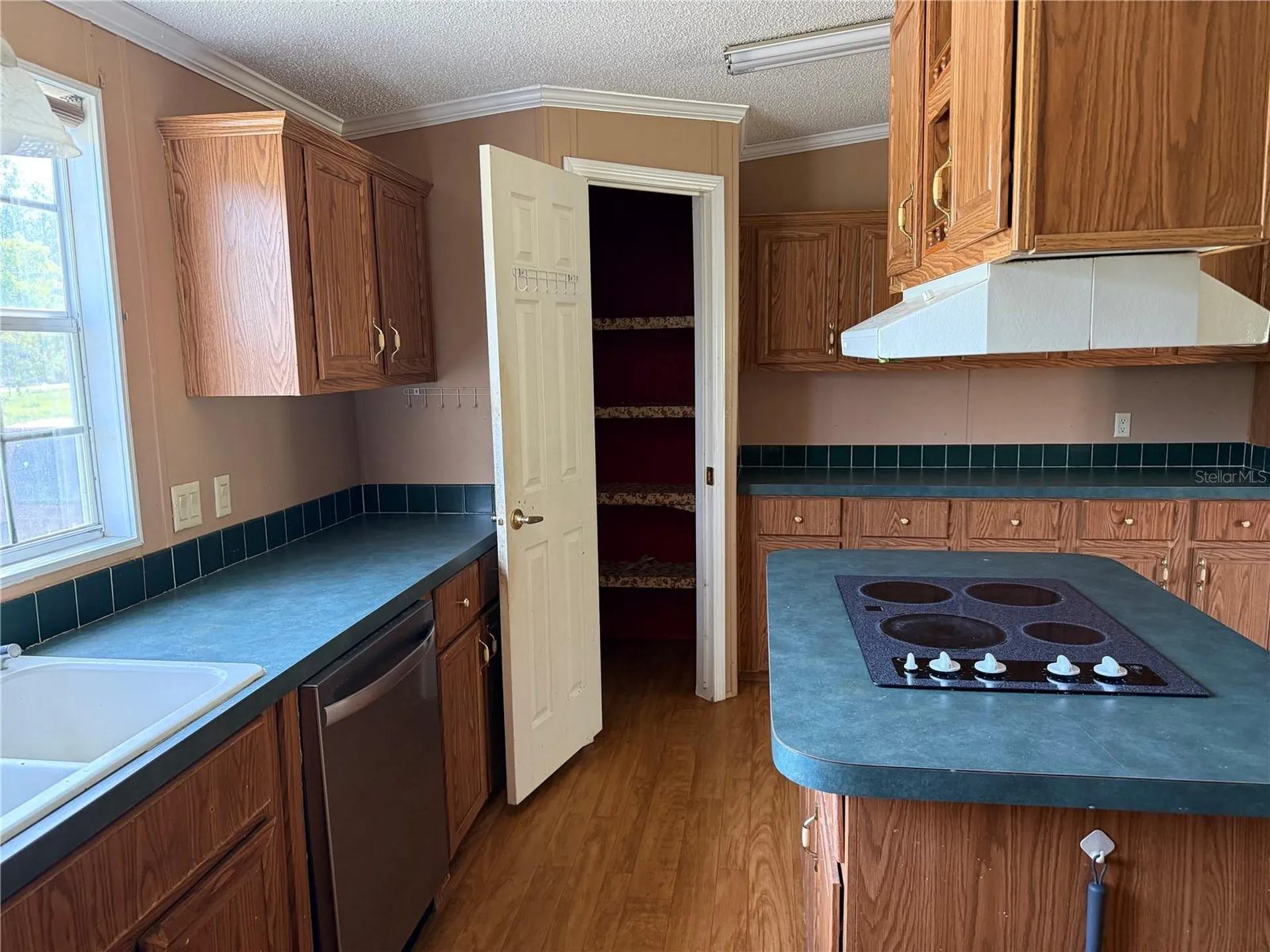 11090 SE 165th Terrace Road Ocklawaha FL 32179