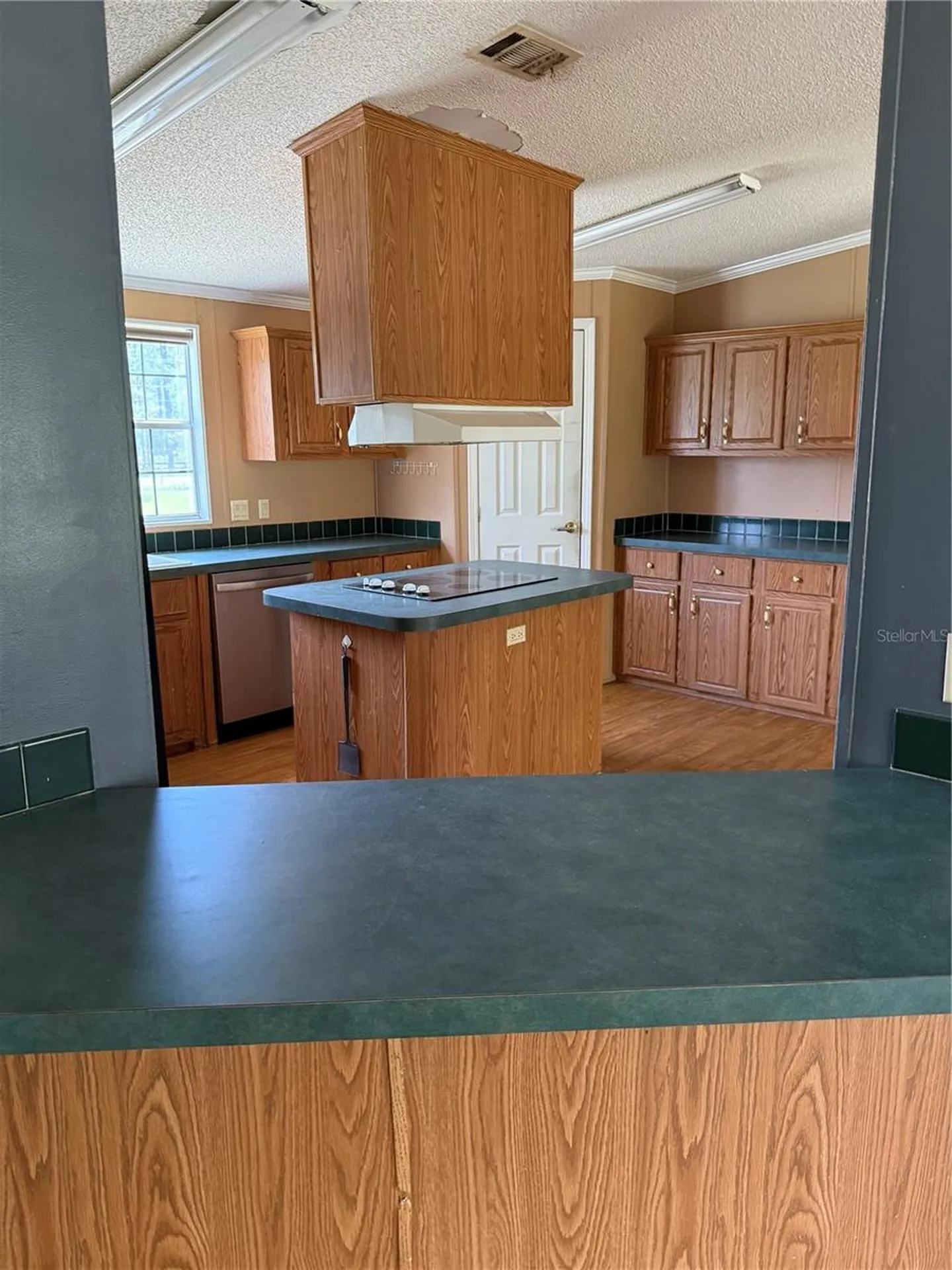 11090 SE 165th Terrace Road Ocklawaha FL 32179