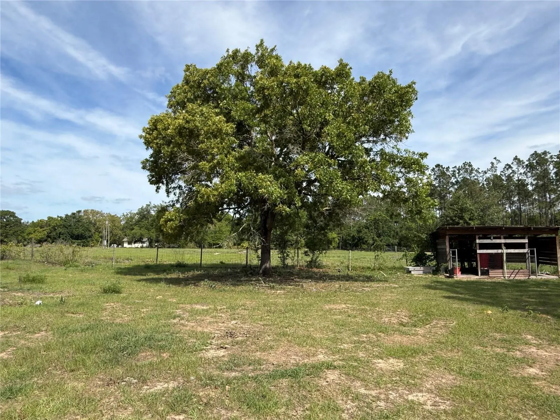 11090 SE 165th Terrace Road Ocklawaha FL 32179
