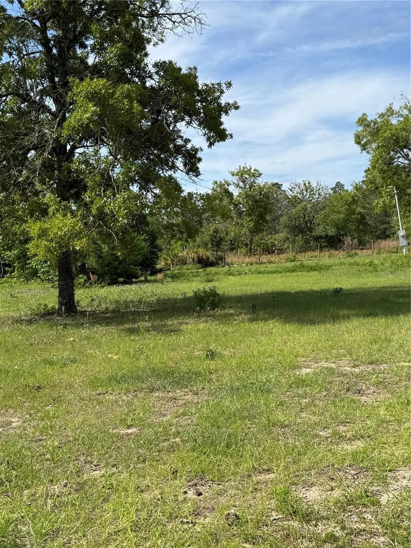 11090 SE 165th Terrace Road Ocklawaha FL 32179