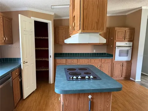 11090 SE 165th Terrace Road Ocklawaha FL 32179