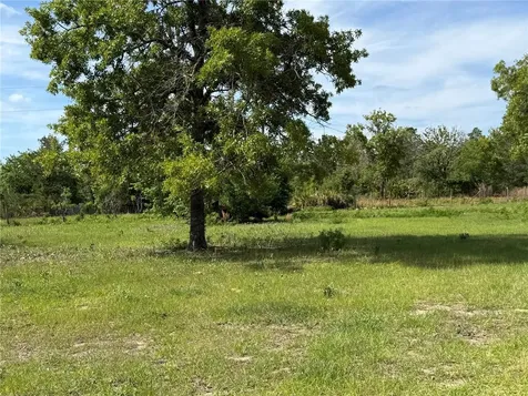 11090 SE 165th Terrace Road Ocklawaha FL 32179