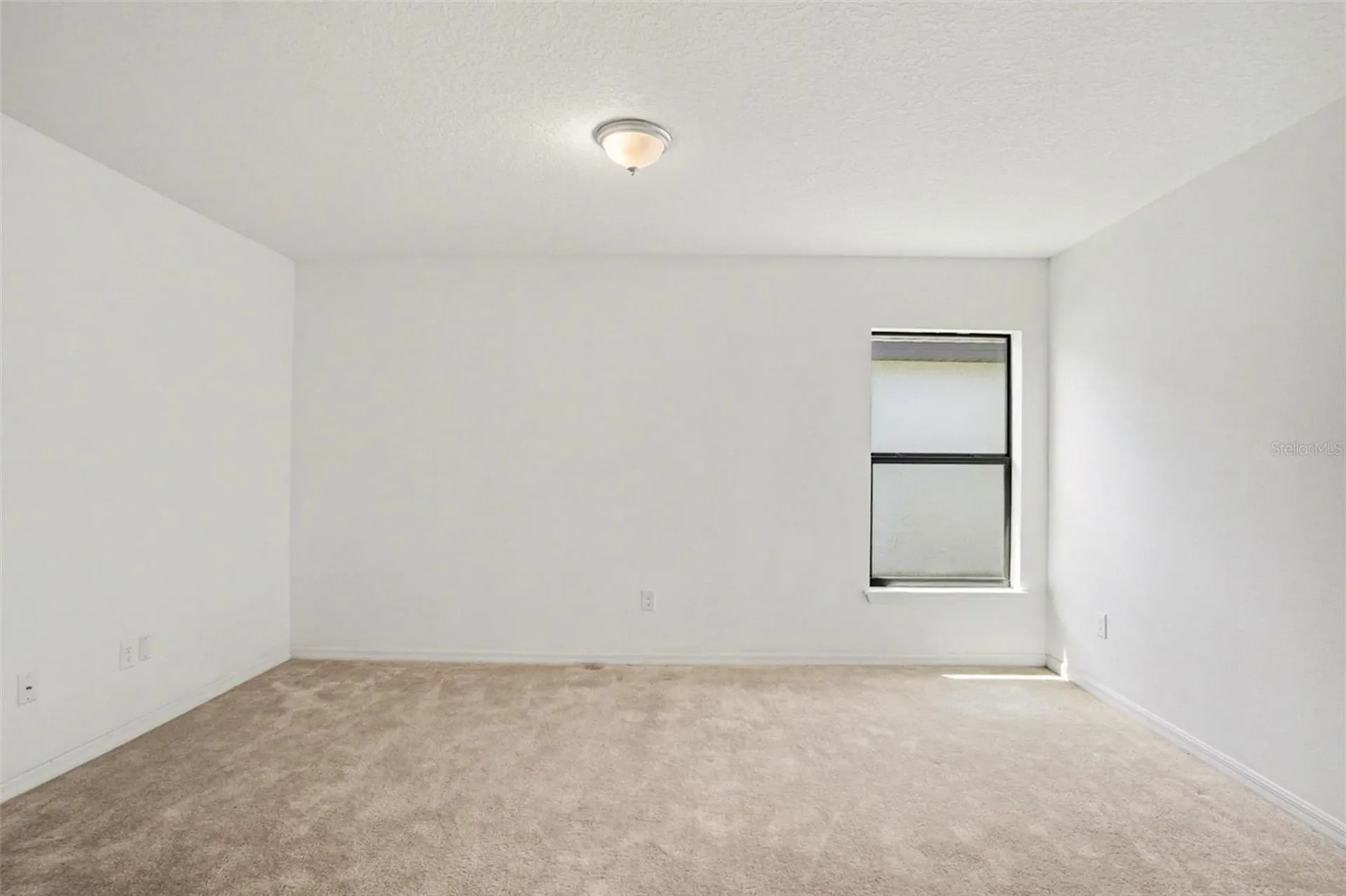 11837 Thicket Wood Drive Riverview FL 33579