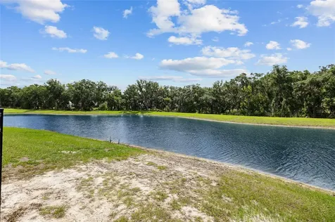 12940 Steed Trace Loop Lithia FL 33547