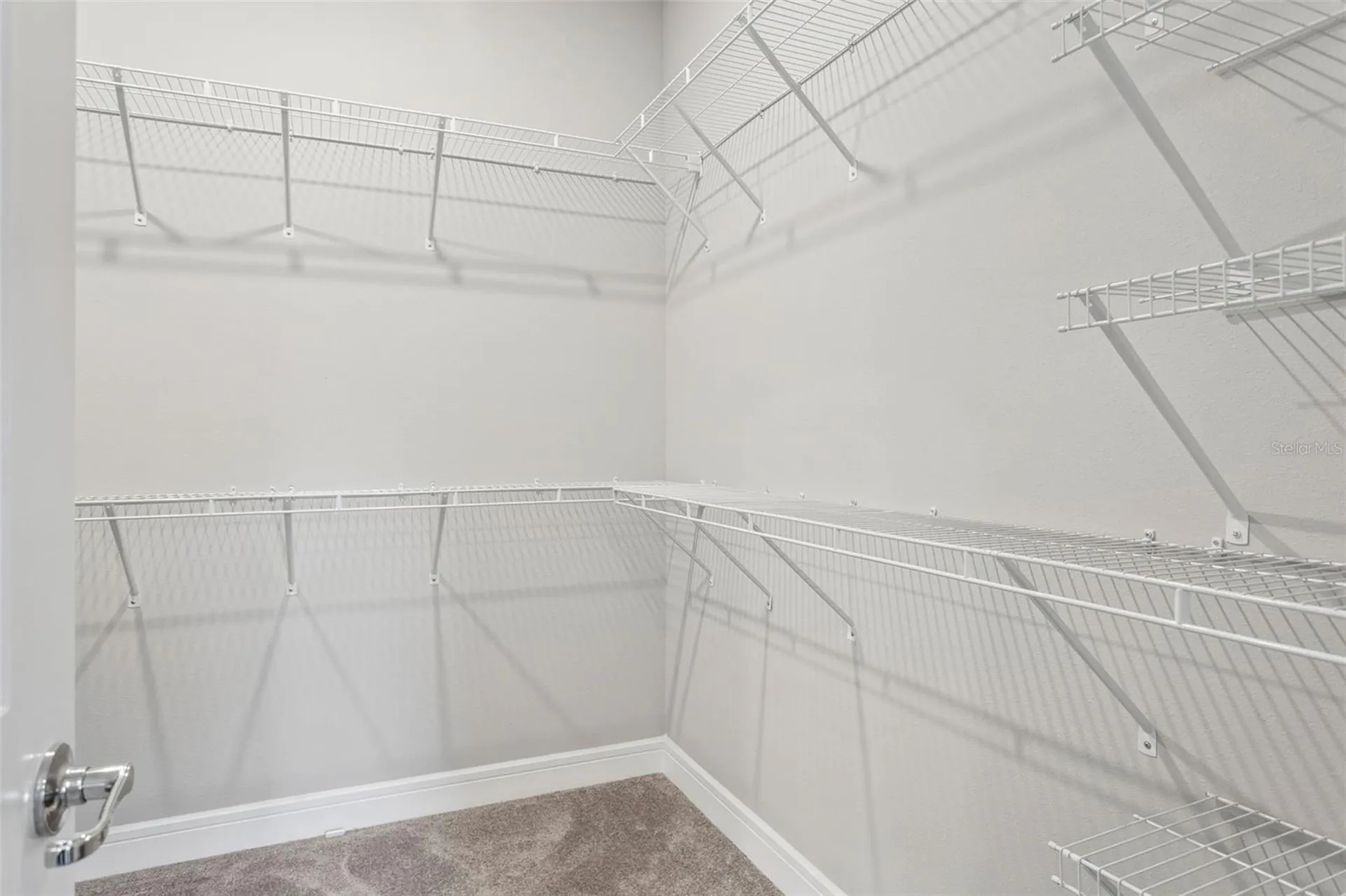 6382 Bradford Woods Drive Zephyrhills FL 33542