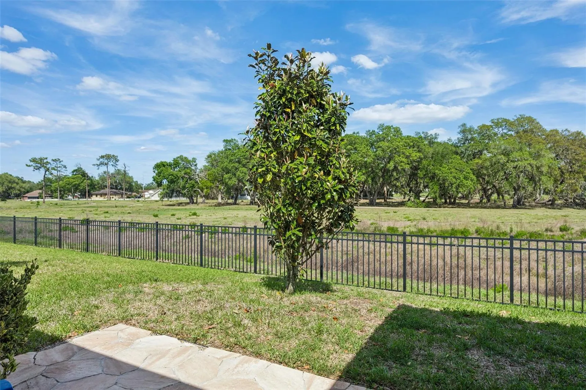 6382 Bradford Woods Drive Zephyrhills FL 33542