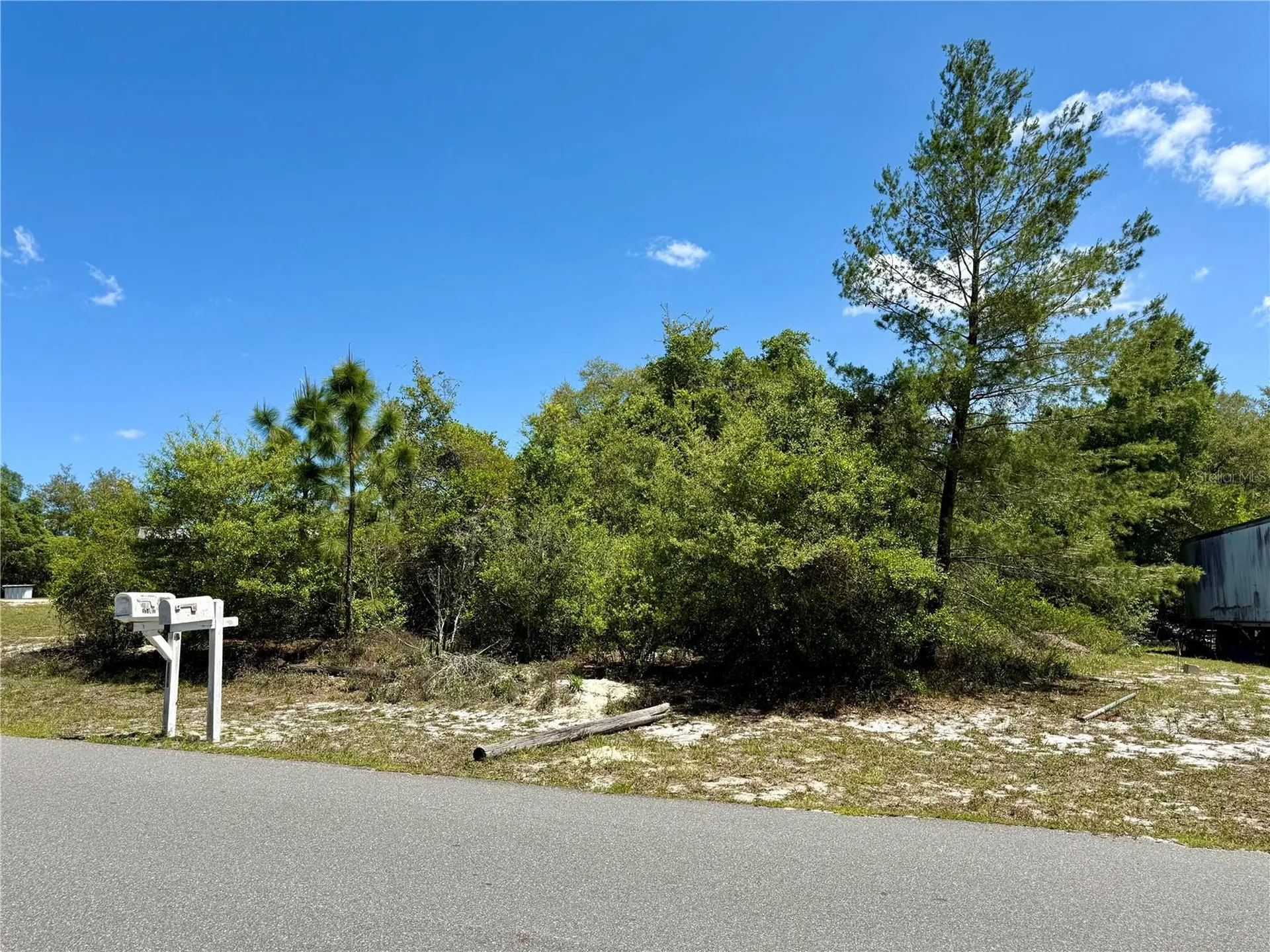 Benton Drive Eustis FL 32736