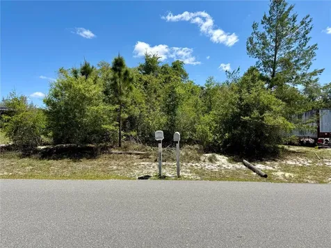 Benton Drive Eustis FL 32736