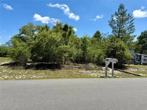 Benton Drive Eustis FL 32736